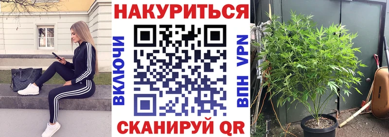 Где купить наркотики Сухиничи A PVP  МАРИХУАНА  Амфетамин  Гашиш  Галлюциногенные грибы  Меф 