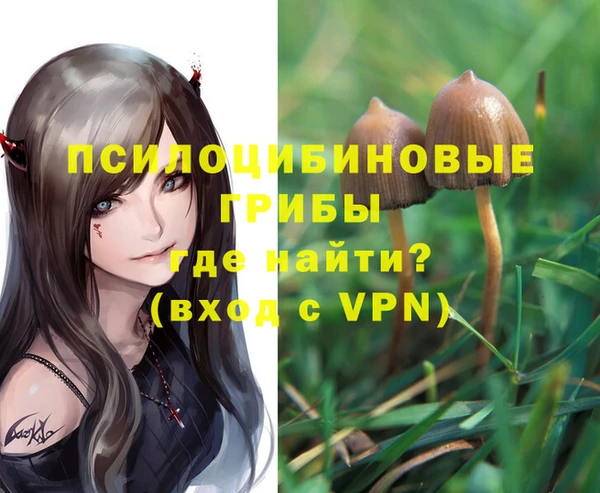 гидропоника Абаза