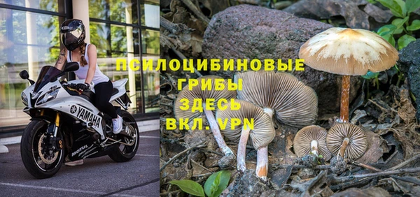 mix Алексеевка