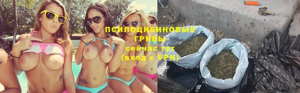 гидропоника Абаза
