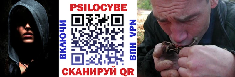 Галлюциногенные грибы Psilocybe  Сухиничи 